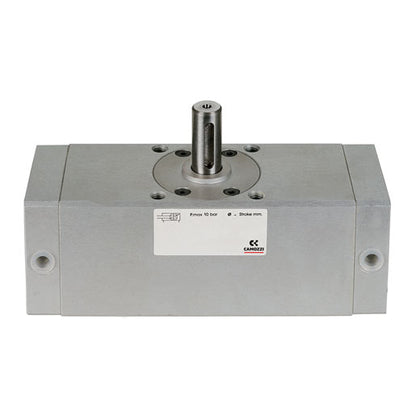 Cilindro rotativo amortiguado neumático 30-080/180